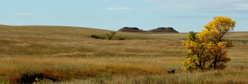 South Dakota Grassland Coalition