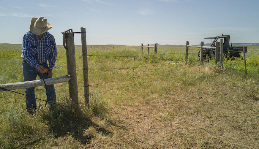 A man fixing fence in a pasture