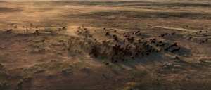 Dutton Ranch, Our Amazing Grasslands Video