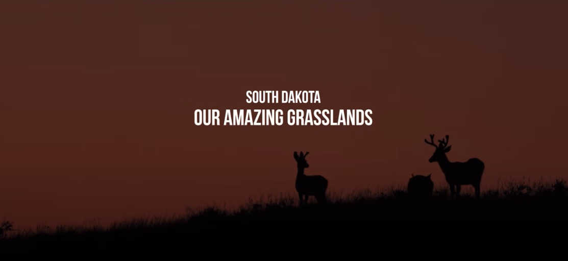 Our Amazing Grasslands, July 2022 Thompson Family, McLaughlin, SD
