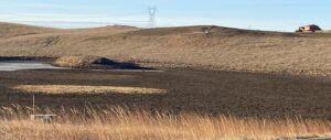 The Green Side Up: Revisiting Grassland and Wetland Cover for Drought and Flood Resiliency on the Farm and Ranch. Photos