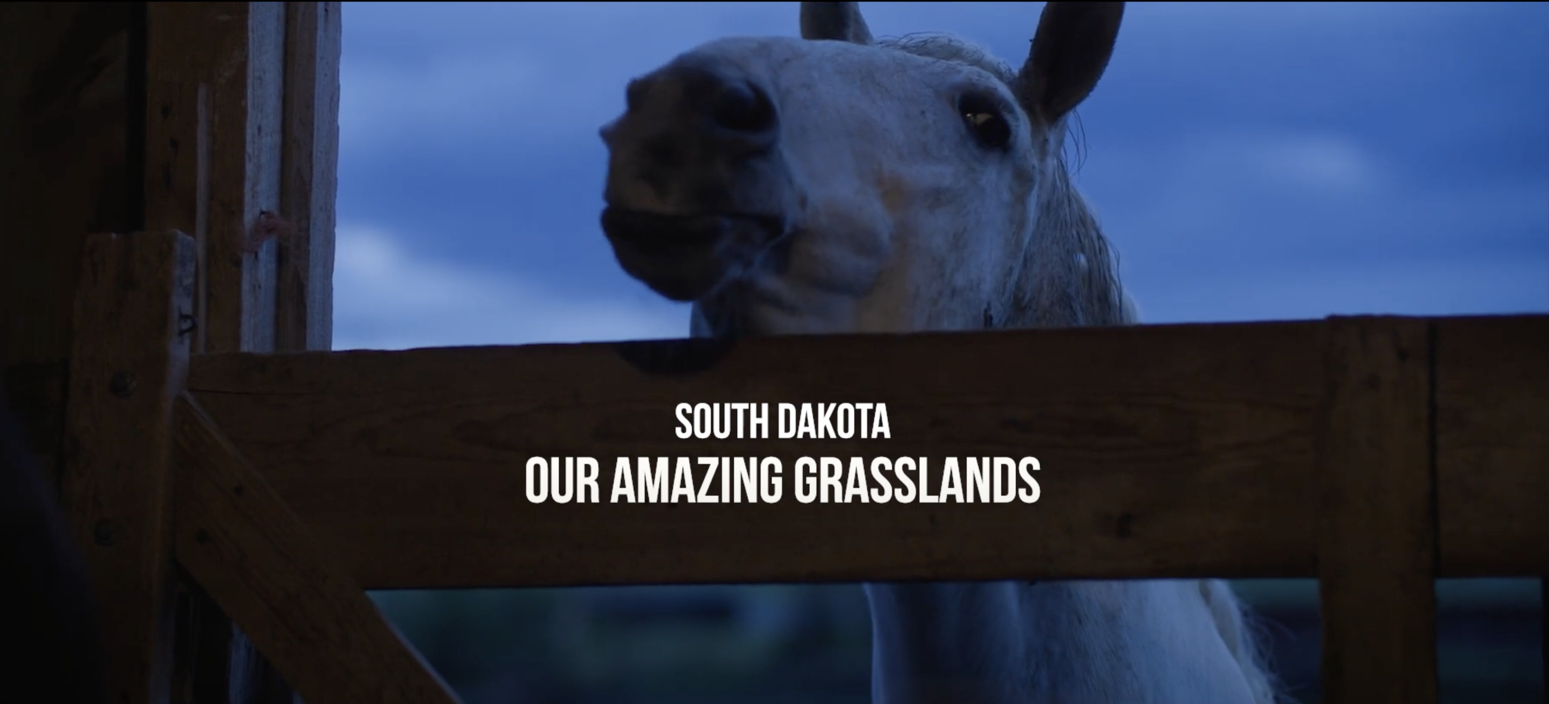 Our Amazing Grasslands ~ Kammerer Family, Piedmont, South Dakota