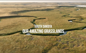 Our Amazing Grasslands video cover