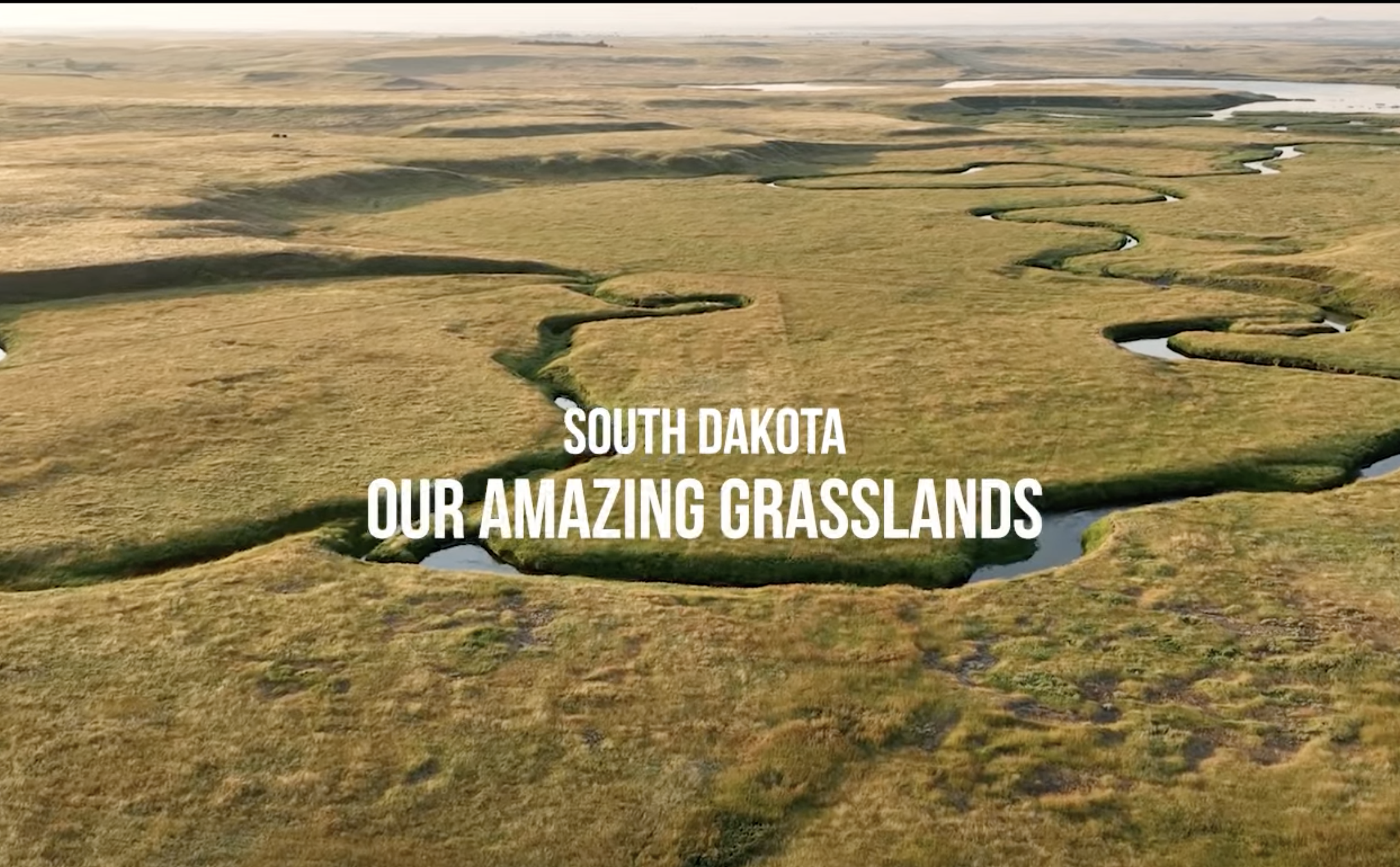 Our Amazing Grasslands ~ Anderson Family, Lemmon, South Dakota