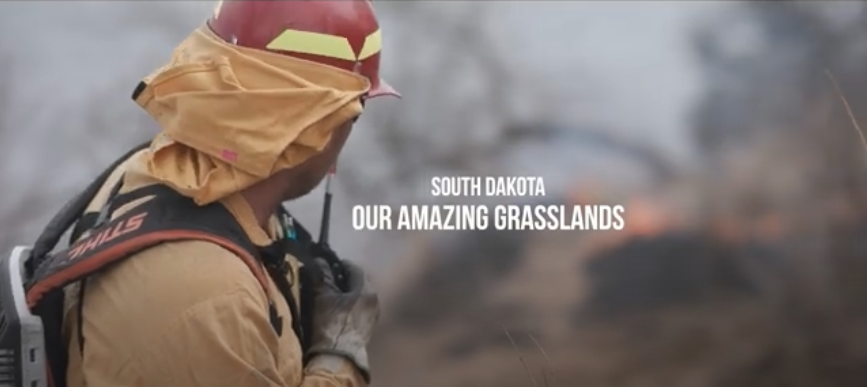 April 2024 - Our Amazing Grasslands - Prescribed Burns