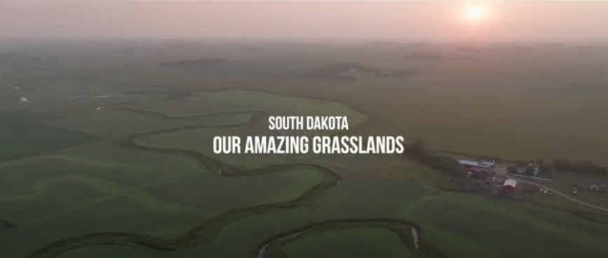 May 2024 - Our Amazing Grasslands - Water Management