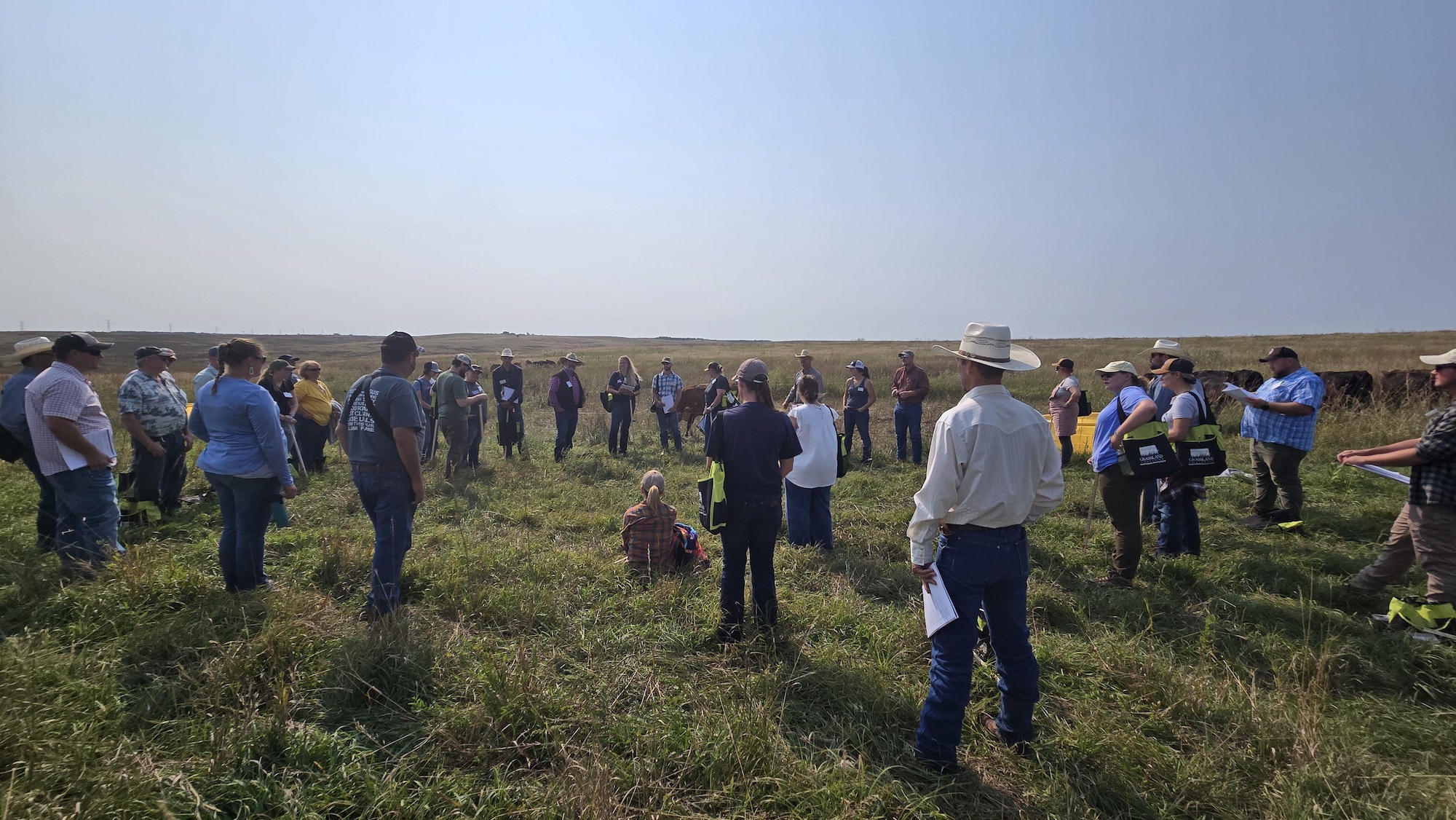 Group photo in the pasture