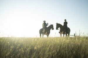 Two people on horseback with the sun behind them