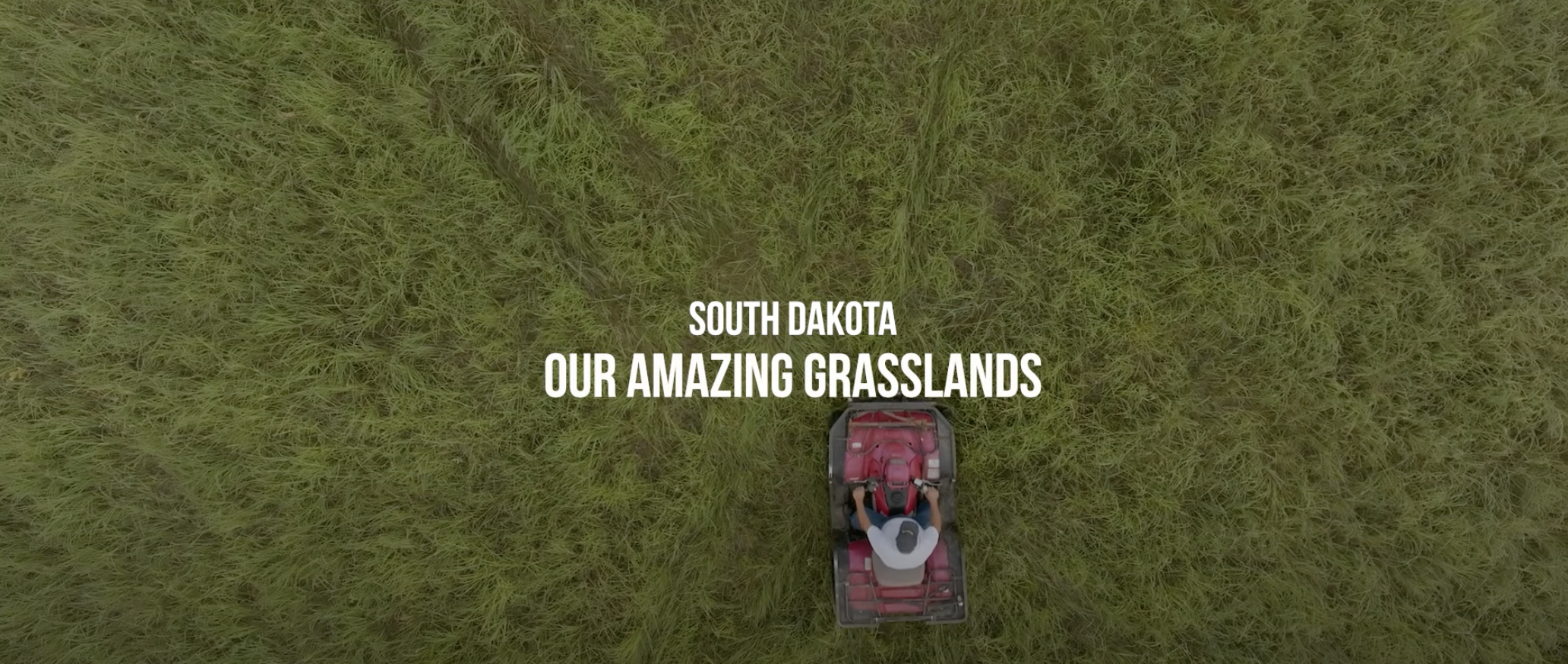 June 2025 - Grassland Restoration