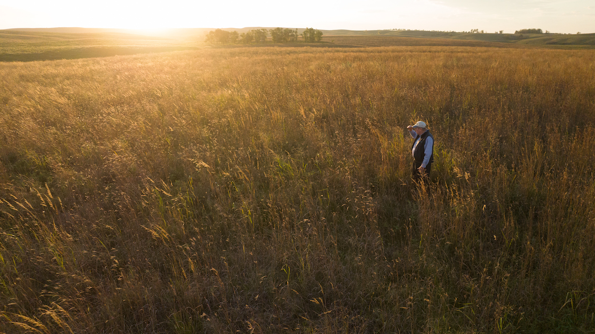 Neil Bien Overlooking open pasture