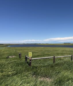 Onaka, SD Pasture Walk