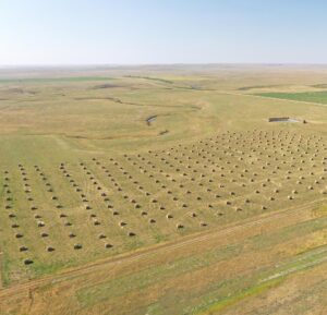 Bale Grazing at the Anderson Ranch