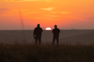 producers watching the sunset