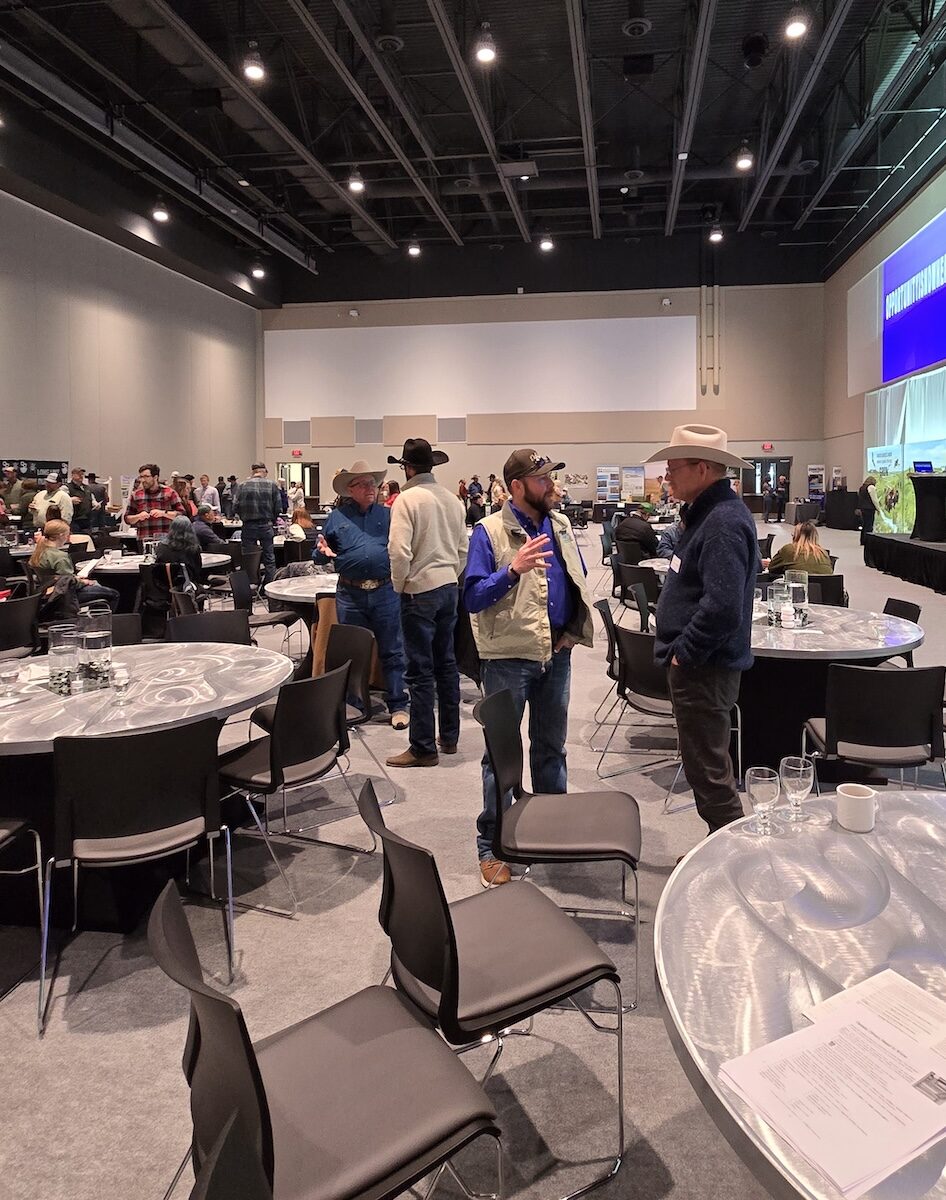 People chatting at the conference in Rapid City, SD